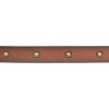 imageLucky Brand Womens Studded Leather Belt  Stylish  Classic  Modern  Jeans  Pants  Skirt  DressDomed Studded  Tan