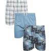 Plaid/Blue/Print