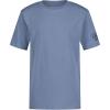 Coronet Blue