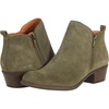 Olive Night